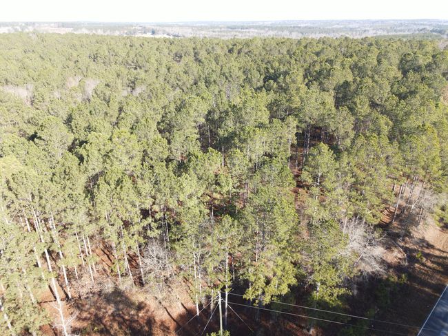 DJI_0868 | Image 12