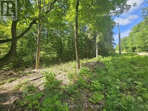 Lot 22 O'Grady Settlement Road, Brudenell, Lyndoch and Raglan, ON, K0J2A0 | Card Image