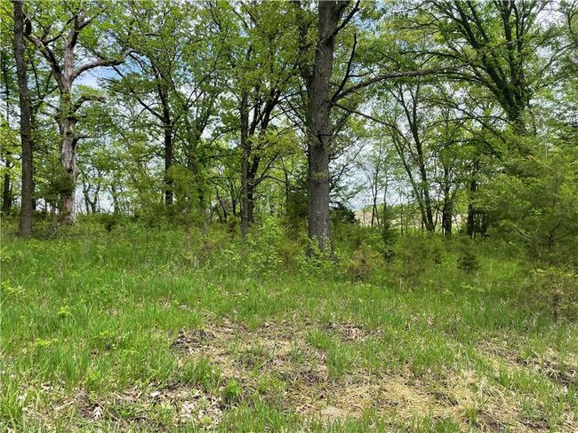 Lot 3038 Lake Viking Terrace, Home with 0 bedrooms, 0 bathrooms and null parking in Gallatin MO | Image 1