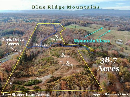 387-acres-TBD Doris Ave, Mount Airy, NC, 27030 | Card Image