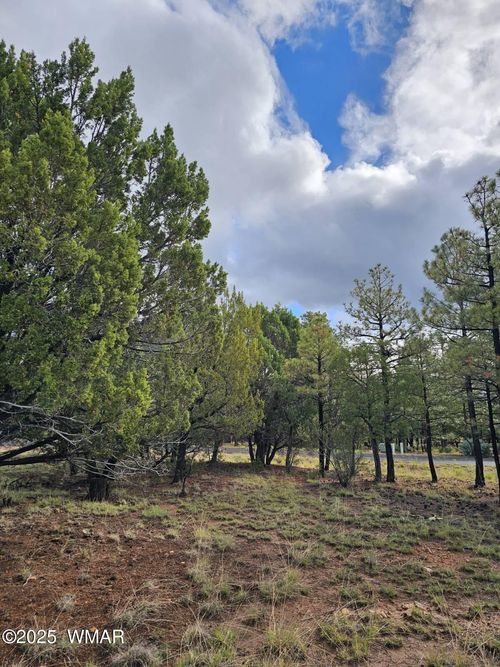 1454 Low Mountain Trl, Heber, AZ, 85928-9669 | Card Image