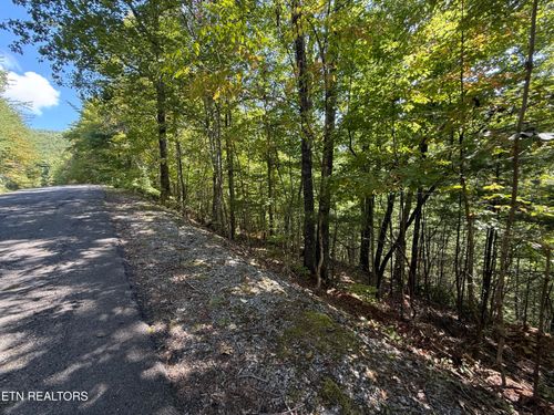 99 Black Powder Ln, Sevierville, TN, 37862 | Card Image