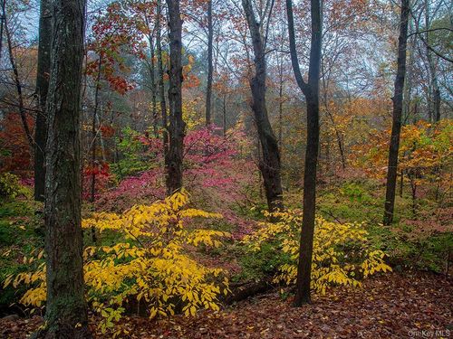 3 Chapin Trl, White Lake, NY, 12786-5804 | Card Image