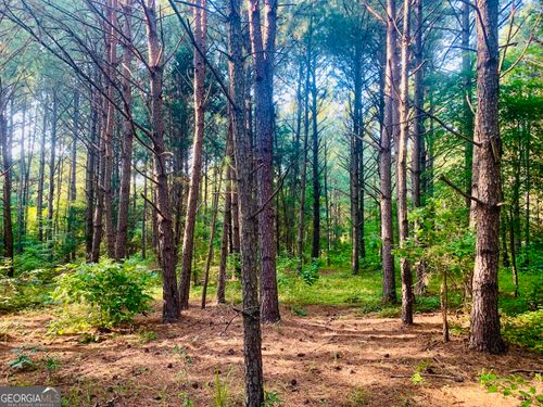 0 Pedenville Rd, Concord, GA, 30206 | Card Image