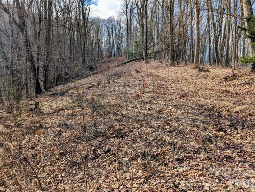 #49 Hazel Top Section, Teaberry Ridge Road, Waynesville, NC, 28786 | Card Image