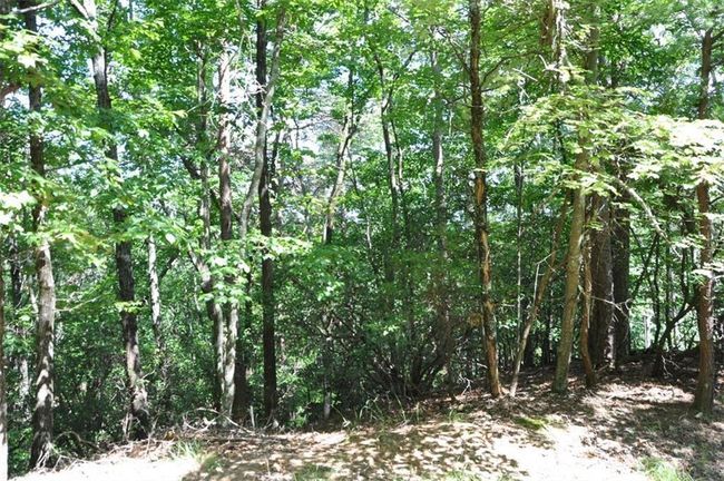 64 Wrens Nest, Home with 0 bedrooms, 0 bathrooms and null parking in Big Canoe GA | Image 12