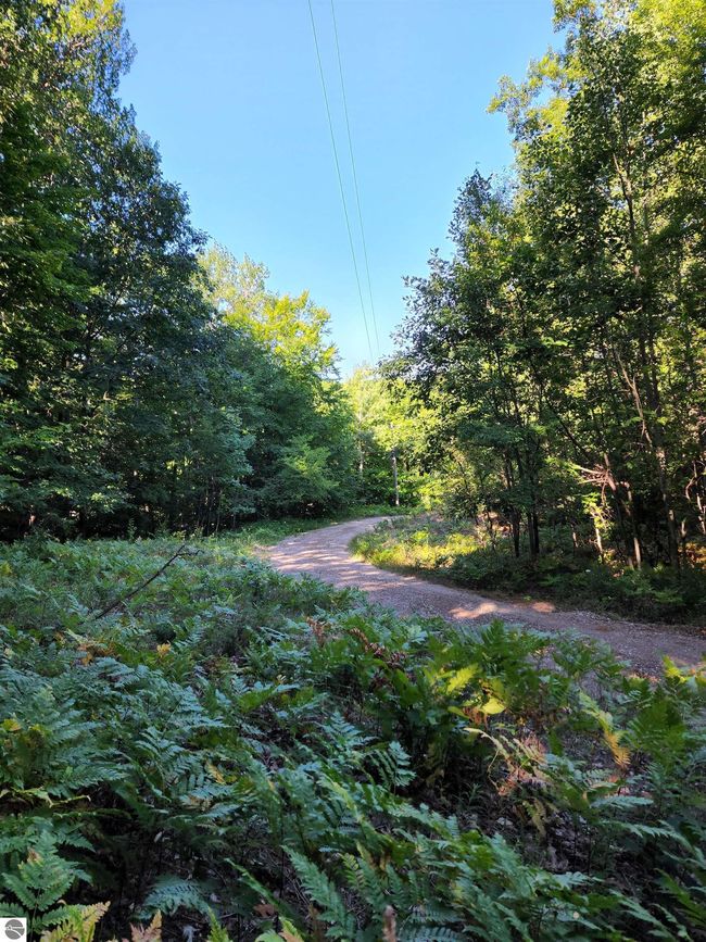 103 Adams Rd, Home with 0 bedrooms, 0 bathrooms and null parking in Frankfort MI | Image 21