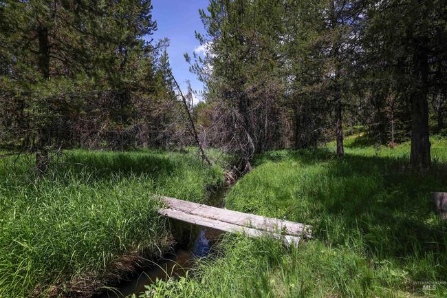 View of yard | Image 46