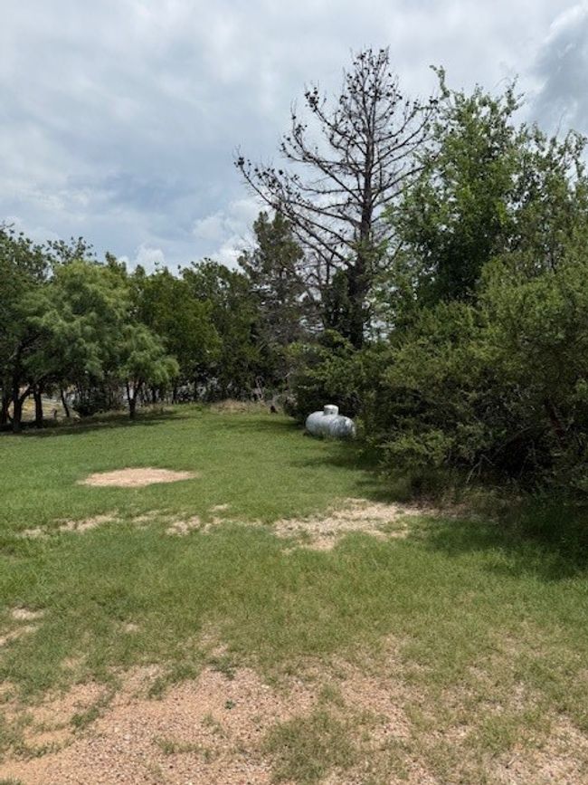 View of grassy yard | Image 15