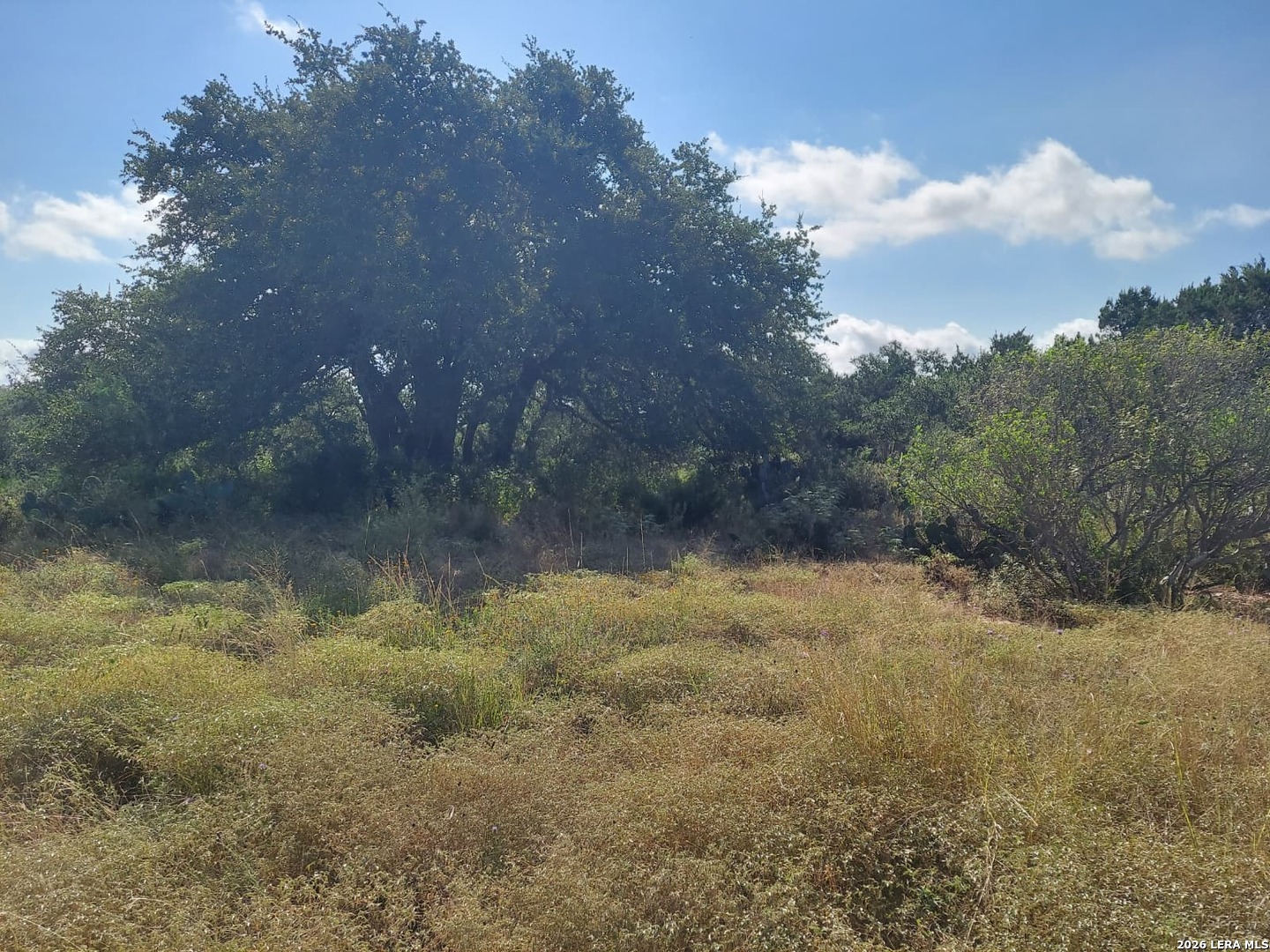 Land in New Braunfels