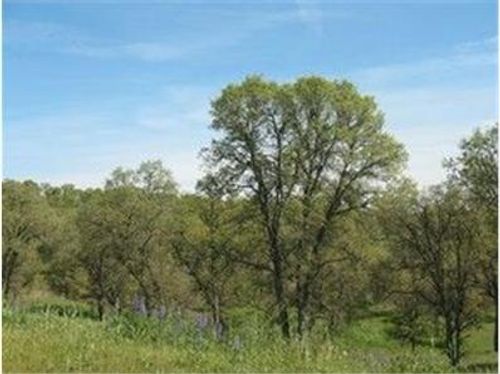 361 361 Hawkridge Drive, Copperopolis, CA, 95228 | Card Image