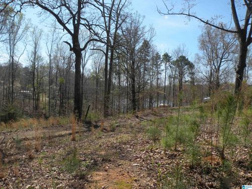 0-152 Honeysuckle Ln, SYLACAUGA, AL, 35150-8903 | Card Image