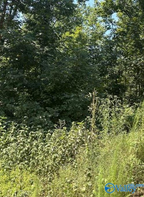 3.2 acres 2nd Ave, Athens, AL, 35611 | Card Image