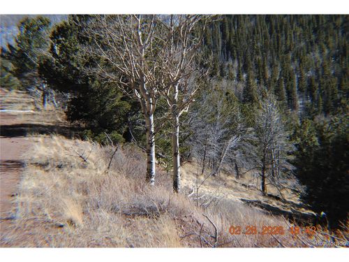 2734 Newman Pl, Fort Garland, CO, 81133 | Card Image