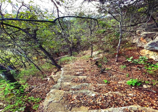 Bluff Stairs to valley, cove below | Image 36