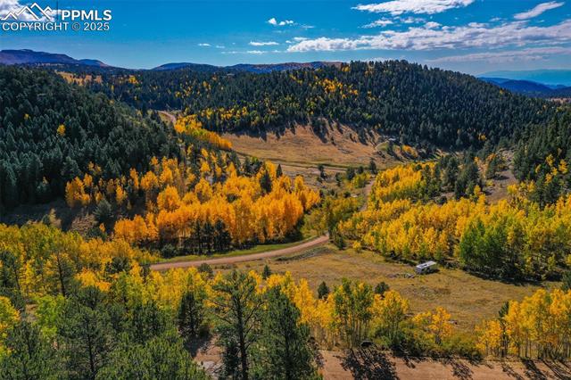 Land in Cripple Creek 3