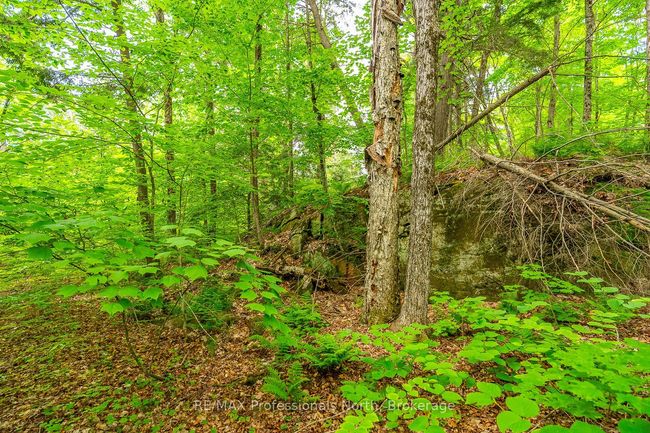 0 Prestige Crt, Home with 0 bedrooms, 0 bathrooms and null parking in Haliburton ON | Image 4