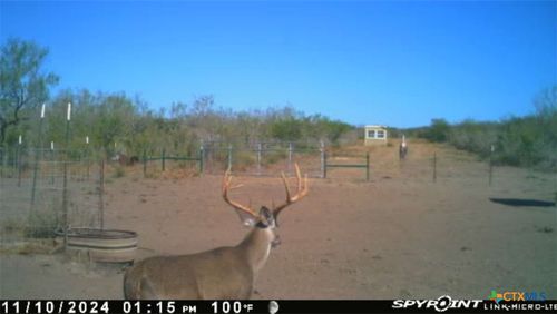 0 Tr 123 Triple T-Bar-L Rch, Freer, TX, 78341 | Card Image
