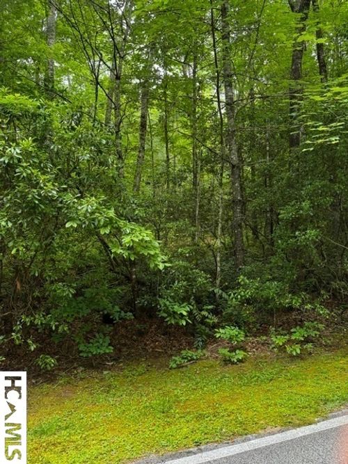 48B Big Pine Rd, Sapphire, NC, 28774-9579 | Card Image