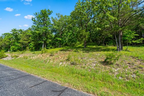 Tbd Cedar Bluff Lot 91a, Saddlebrooke, MO, 65630 | Card Image
