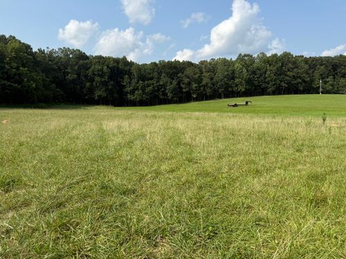 Lot 5 Tract 1 French Valley Court, Russell Springs, KY, 42642 | Card Image