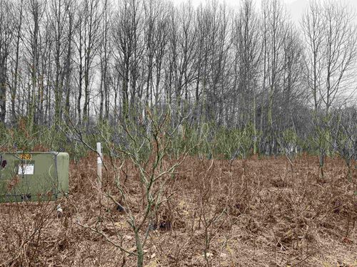 Lot 20 Crestview Pl, Cadillac, MI, 49601 | Card Image