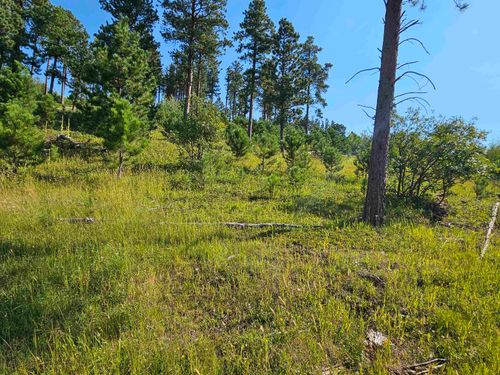 TBD Last Chance Ridge Rd, deadwood, SD, 57732 | Card Image