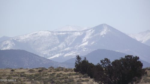 7296 Latigo Rd, Williams, AZ, 86046 | Card Image