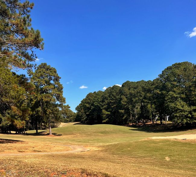 312 Turtle Cove Trwy, House other with 3 bedrooms, 2 bathrooms and null parking in Monticello GA | Image 33