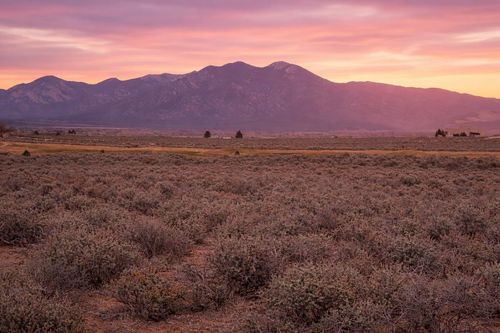 Lot 22 Los Cordovas Dr, Ranchos De Taos, NM, 87557-8760 | Card Image