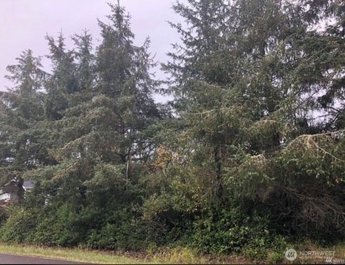 649 Weatherwax Loop Ne, Ocean Shores, WA, 98569-9248 | Card Image