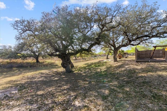 1200 Highway 59, Home with 0 bedrooms, 0 bathrooms and null parking in George West TX | Image 33