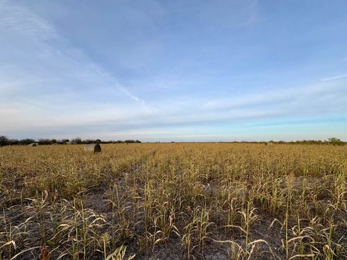 366 County Road 123, Buckholts, TX, 76518 | Card Image