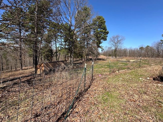 231 Jones Rd, House other with 4 bedrooms, 2 bathrooms and null parking in Yellville AR | Image 19