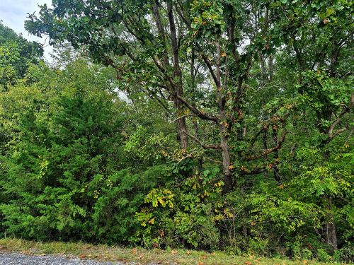 18-18 Wildflower Ln, Dillwyn, VA, 23936-2948 | Card Image