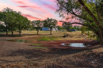 View of yard at dusk | Image 2