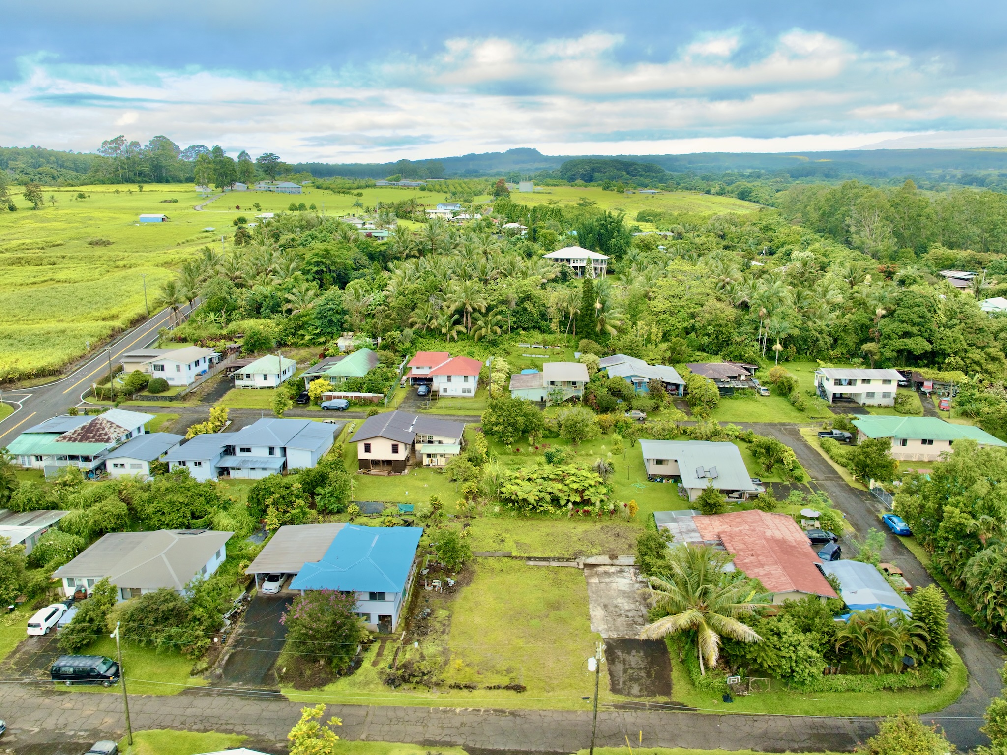 Land in Honomu 5