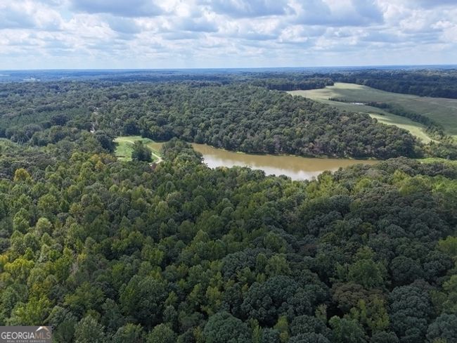 TRACT-10 - 0 Sanford Dr, Home with 0 bedrooms, 0 bathrooms and null parking in Nicholson GA | Image 12