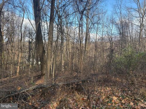 Lot 22 Hickory Tree Rd, FRONT ROYAL, VA, 22630-5817 | Card Image