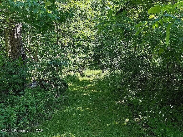 Land in Wapwallopen 3
