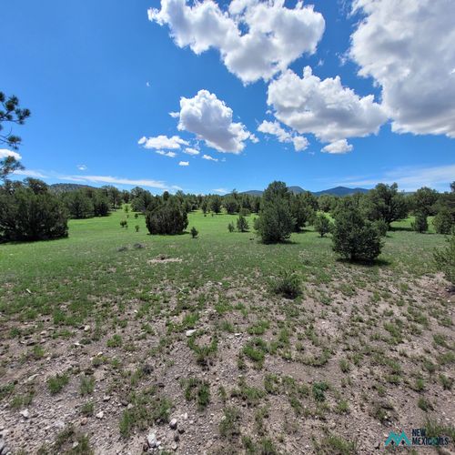 18-18 Frontier Trail - Lot 18 Trl, Datil, NM, 87821 | Card Image