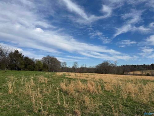 39 acres County Road 71, Lexington, AL, 35648 | Card Image
