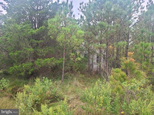 1736 Crocheron Rd, Toddville, MD, 21672-9614 | Card Image