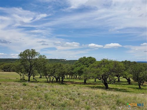 974 Blackbuck Ridge Dr, Lampasas, TX, 76550-4901 | Card Image