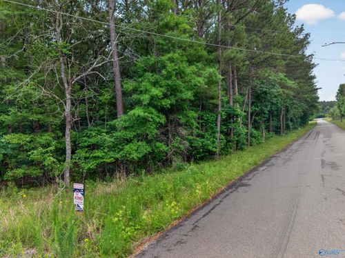 2 lots Christopher Avenue, Southside, AL, 35907 | Card Image