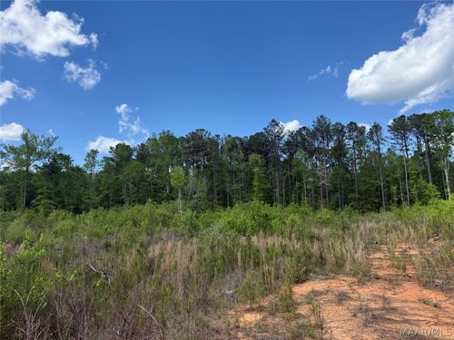 0 County Rd 45 Road, Rockford, AL, 35136 | Card Image