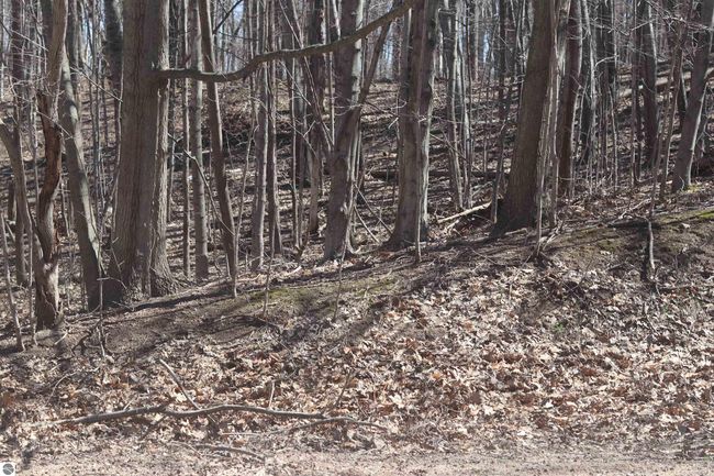 Lot 21 Crystal Ridge Dr, Home with 0 bedrooms, 0 bathrooms and null parking in Beulah MI | Image 4