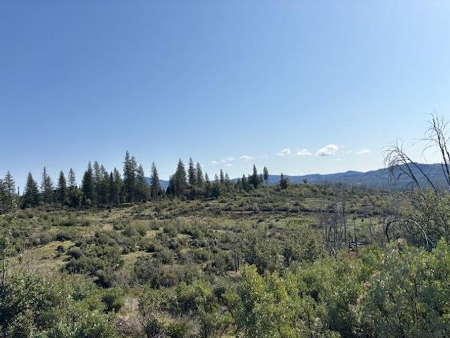19292 Shawnee Trl, Home with 0 bedrooms, 0 bathrooms and null parking in Mokelumne Hill CA | Image 28