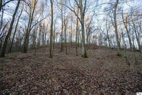 0 The Great River Rd, Fayette, MS, 39069 | Card Image