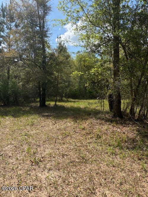0 Iron Bridge Rd, Marianna, FL, 32448 | Card Image